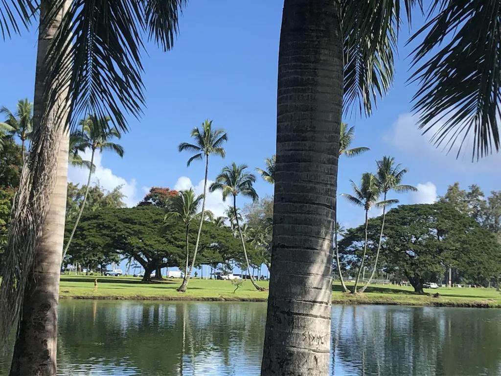 Stunning Views Best Location In Hilo 2Br Modern Condo Экстерьер фото